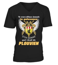 PLOUVIEN