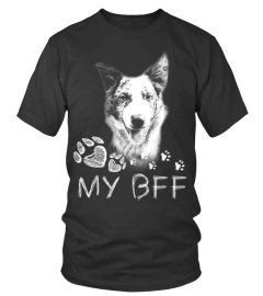 Collie BFF