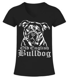 Old English Bulldog Hund