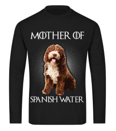 Spanish Water Dog