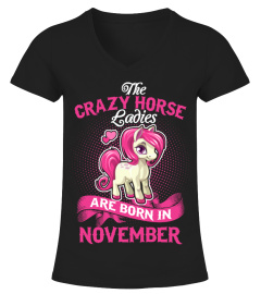 Crazy horse November