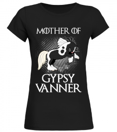 Gypsy Vanner
