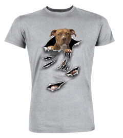 American Staffordshire Terrier-Scratch