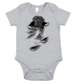 Cane Corso-Scratch