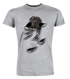 Cane Corso-Scratch
