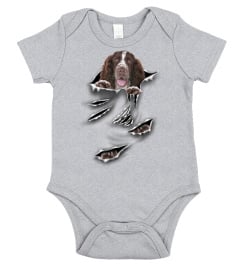 English Springer Spaniel-Scratch