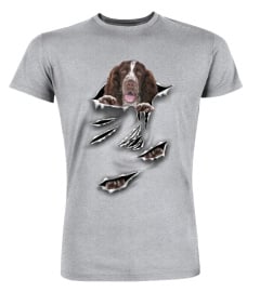 English Springer Spaniel-Scratch