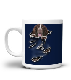 English Springer Spaniel-Scratch