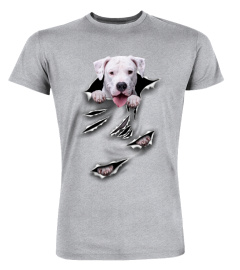 Dogo Argentino-Scratch