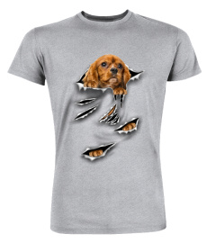 King Charles Spaniel-A-Scratch1