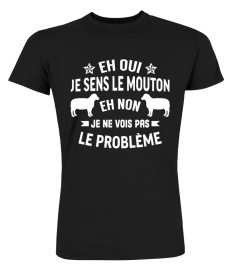 Eh oui je sens le mouton !