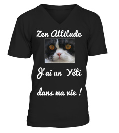 Zen.Attitude.Yéti