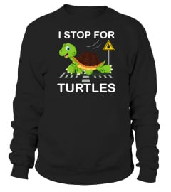 I STOP FOR TURTLES