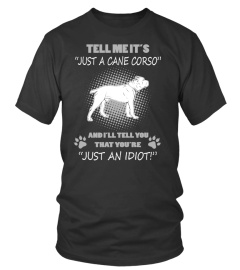 CANE CORSO  - ONLY  24 HOUR LEFT