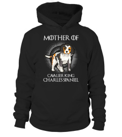 Cavalier King Charles Spaniel