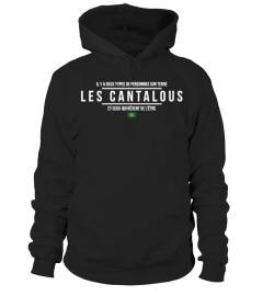 Les Cantalous deux types