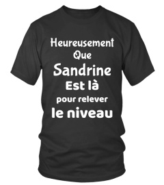 Sandrine Niveau