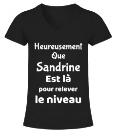 Sandrine Niveau