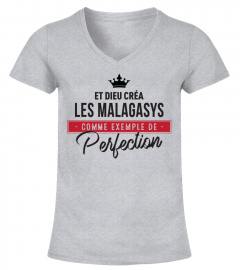 malagasys perfection