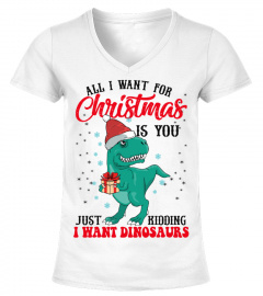Dinosaurs Christmas Hat funny t shirt