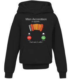 Mon accordéon
