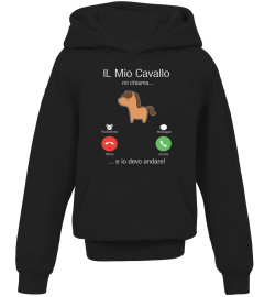 IL mio cavallo