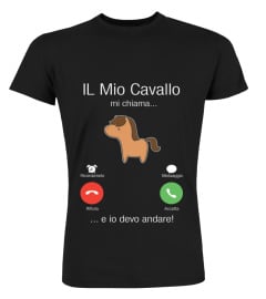 IL mio cavallo