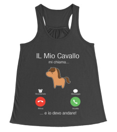 IL mio cavallo