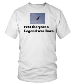 The T shirt Man