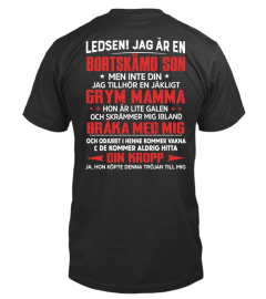 LEDSEN JAG AR EN BORTSKAMD SON