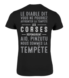 Corse tempête