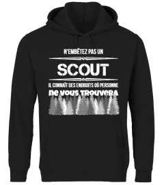 +++SCOUT+++