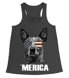 Merica Australian Cattle Dog With Usa Fl