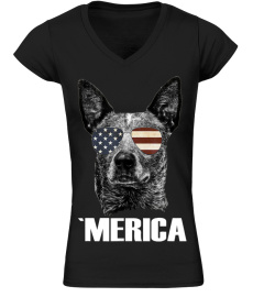 Merica Australian Cattle Dog With Usa Fl