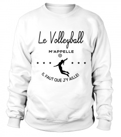 volleyball appelle 0005