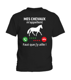 mes chevaux m'appellent...