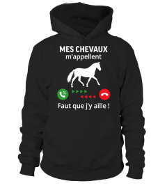 mes chevaux m'appellent...