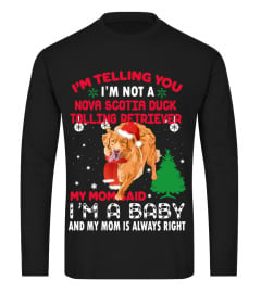 Nova Scotia Duck Tolling Retrieve