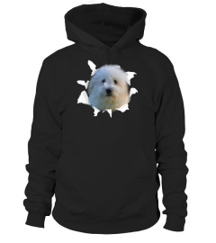 Limited Edition Coton de Tulear