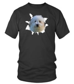 Limited Edition Coton de Tulear