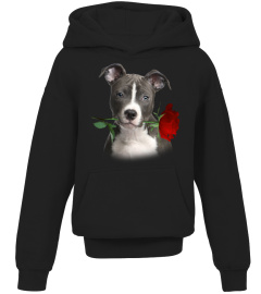 American Staffordshire Terrier-Rose