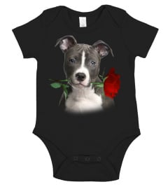 American Staffordshire Terrier-Rose