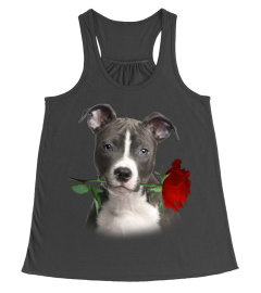 American Staffordshire Terrier-Rose