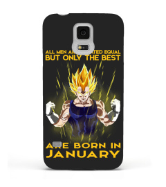 VEGETA-JANUARY