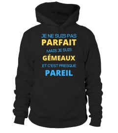 t-shirt gémeaux homme humour cadeau