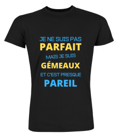 t-shirt gémeaux homme humour cadeau