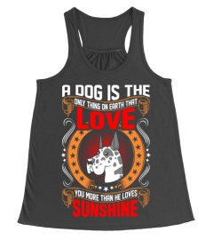 A Dog is The Love Great Dane T-Shirt