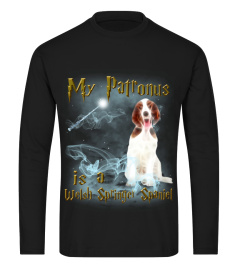 Welsh Springer Spaniel