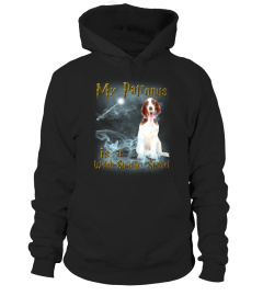 Welsh Springer Spaniel