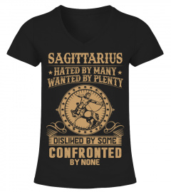 Sagittarius hated by many, wanted by plenty, disliked by some, confronted by none shirt, hoodie, sweatshirt